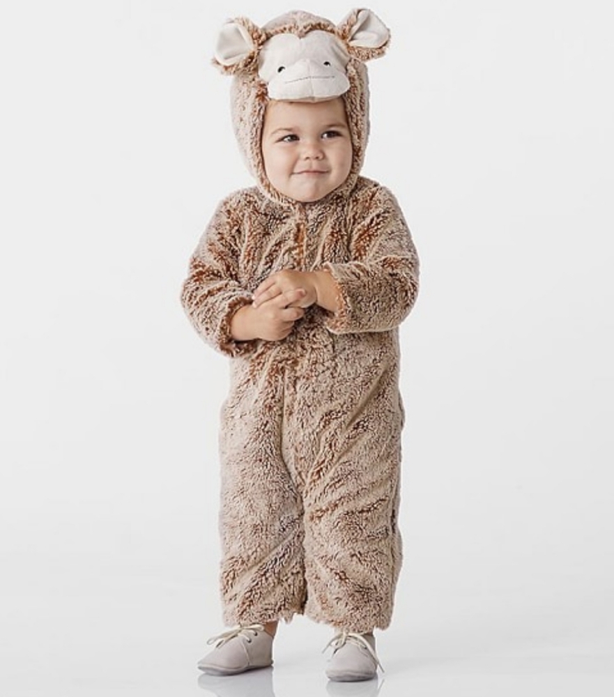 Pottery Barn Kids Monkey Costume, 12-24 months